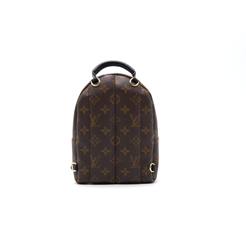 Louis Vuitton PALM SPRINGS MINI