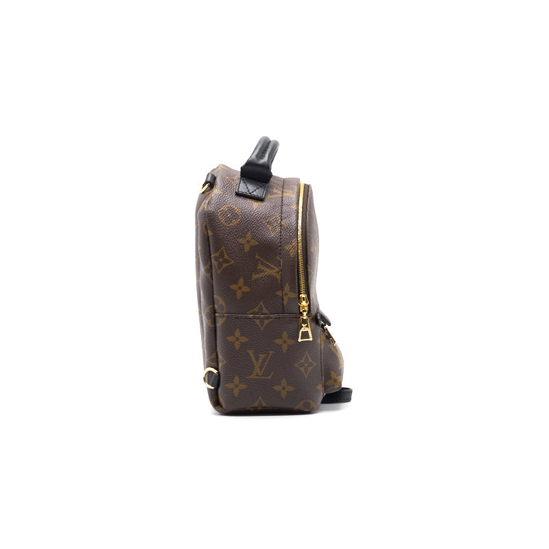 Louis Vuitton PALM SPRINGS MINI