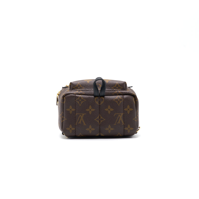 Louis Vuitton PALM SPRINGS MINI