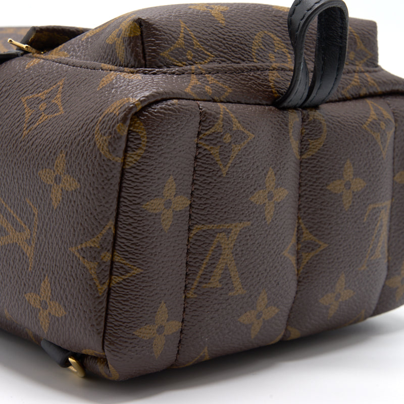 Louis Vuitton PALM SPRINGS MINI
