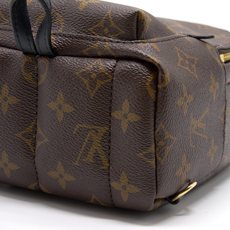 Louis Vuitton PALM SPRINGS MINI