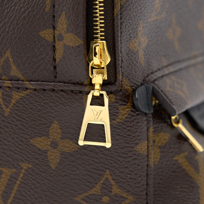 Louis Vuitton PALM SPRINGS MINI