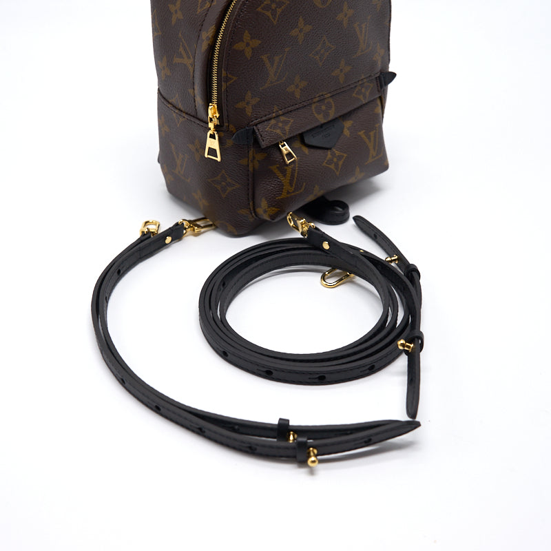 Louis Vuitton PALM SPRINGS MINI