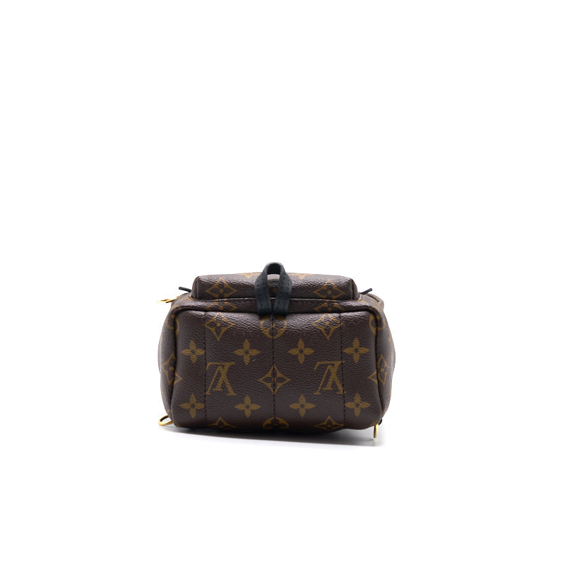 Louis Vuitton Palm Springs Mini Old Zipper