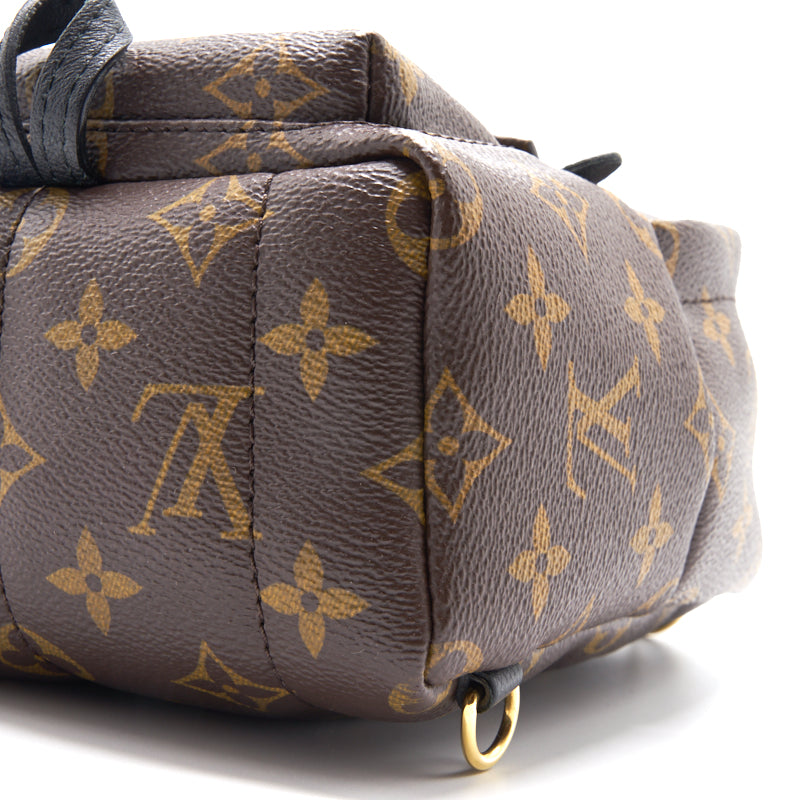 Louis Vuitton Palm Springs Mini Old Zipper