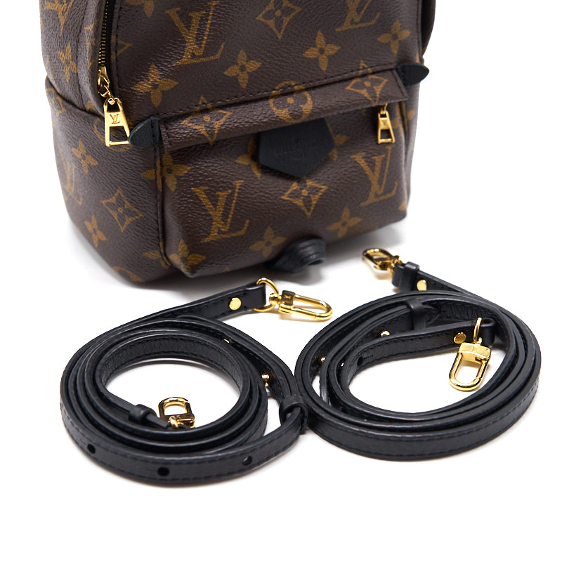Louis Vuitton Palm Springs Mini Old Zipper