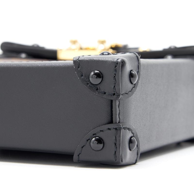 Louis Vuitton Vertical Trunk Pochette