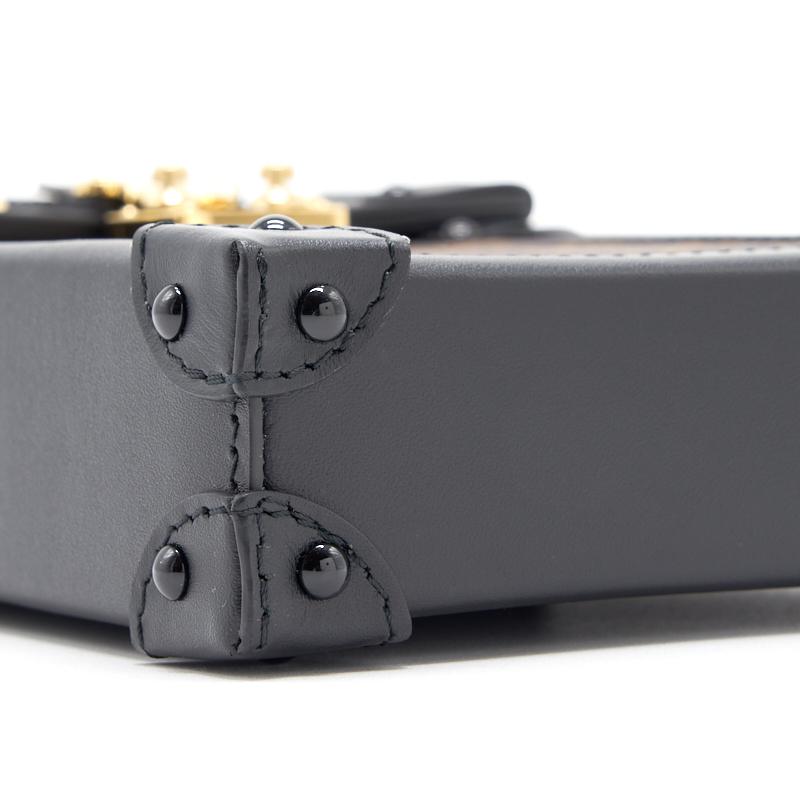 Louis Vuitton Vertical Trunk Pochette