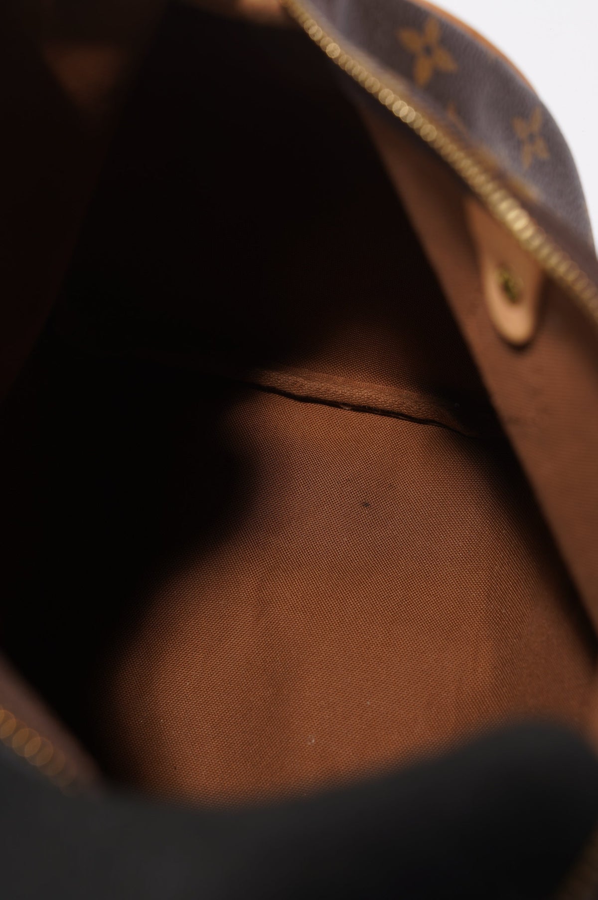 Louis Vuitton Speedy Bag Monogram Canvas 30