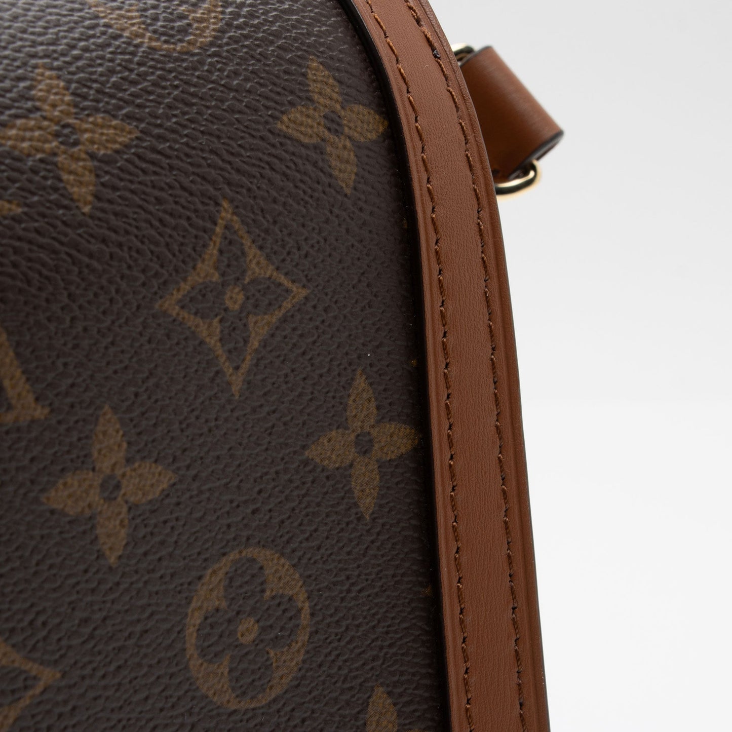 Louis Vuitton Reverse Monogram Dauphine MM Shoulder Bag (SHF-ioa83y)