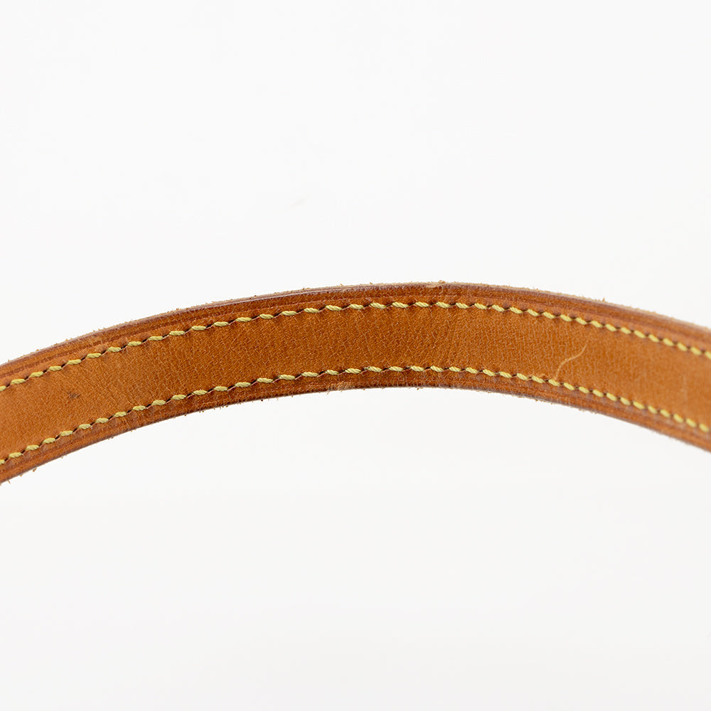 Louis Vuitton Vintage Monogram Canvas Petit Bucket Tote (SHF-21631)