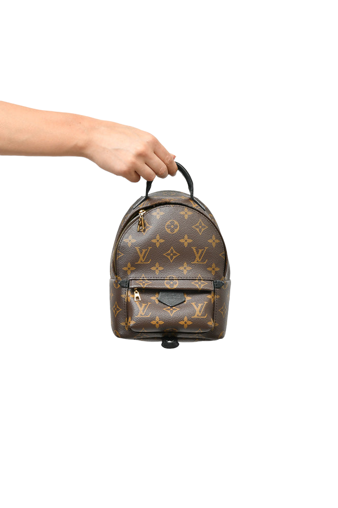 Louis Vuitton Monogram Palm Spring Mini Backpack