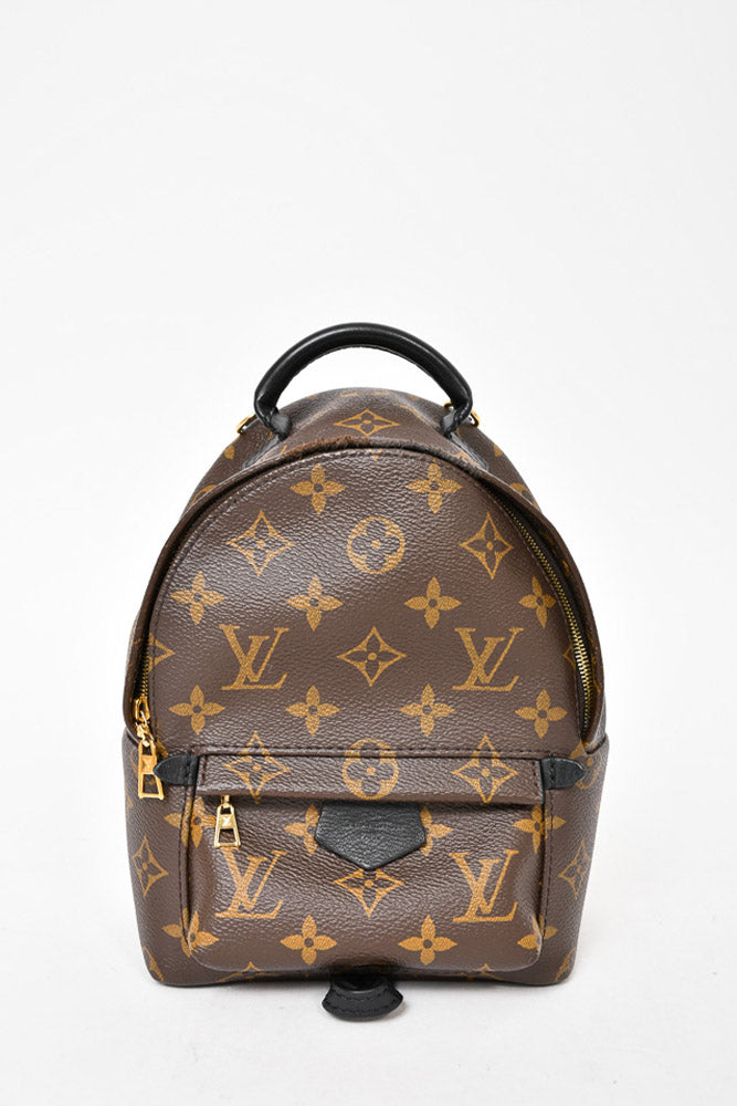 Louis Vuitton Monogram Palm Spring Mini Backpack