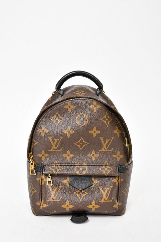 Louis Vuitton Monogram Palm Spring Mini Backpack