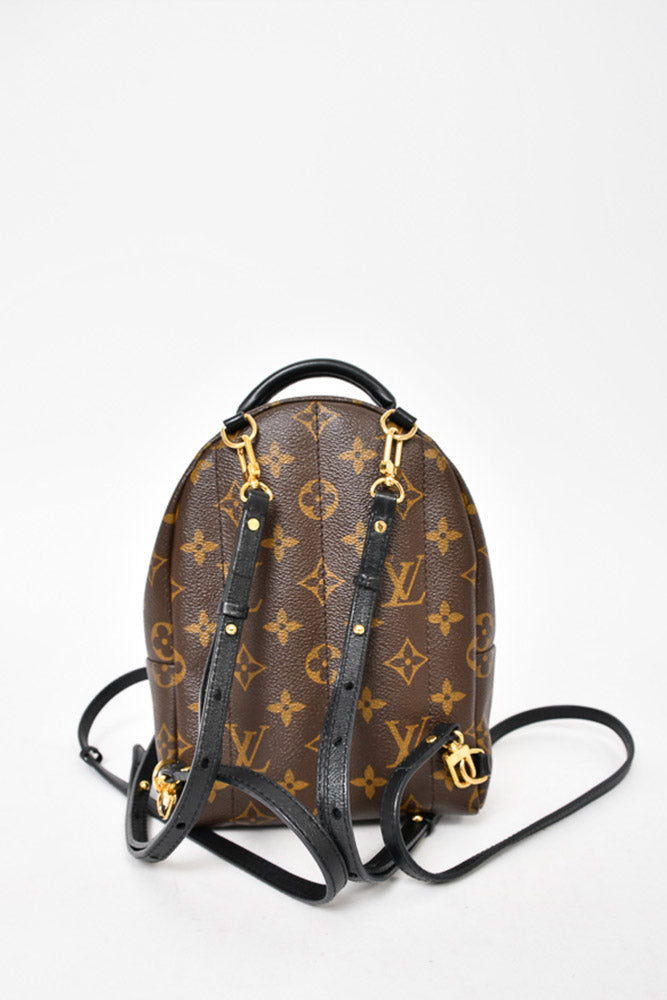 Louis Vuitton Monogram Palm Spring Mini Backpack
