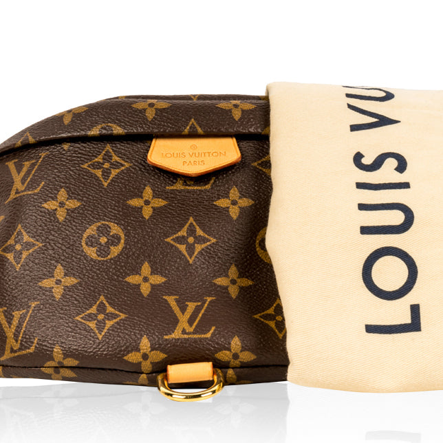 Bumbag - Monogram Canvas