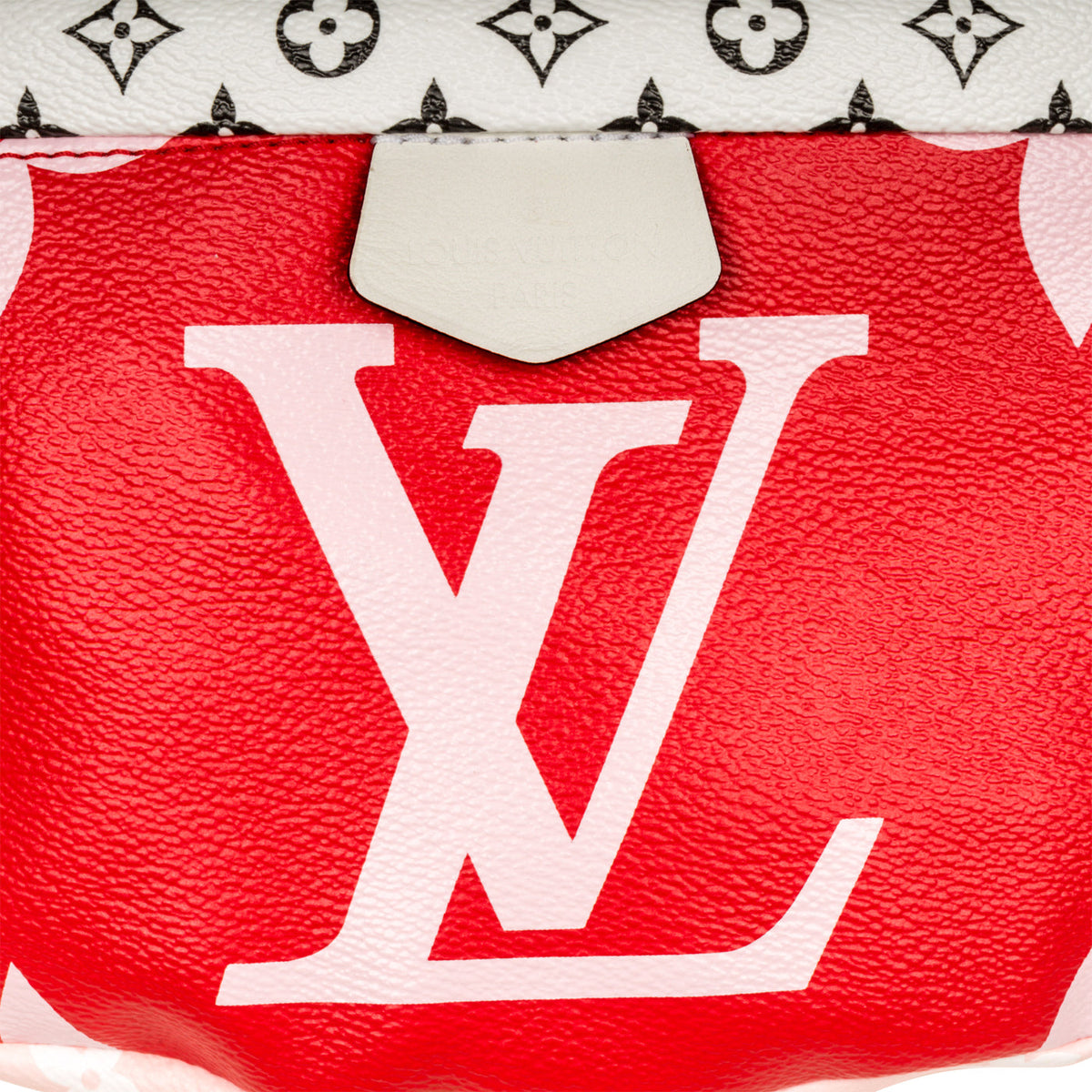 Bumbag Extra Large Monogram