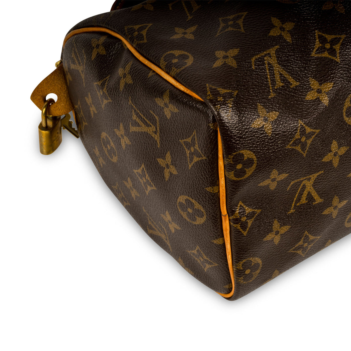 Speedy 25 - Monogram Canvas