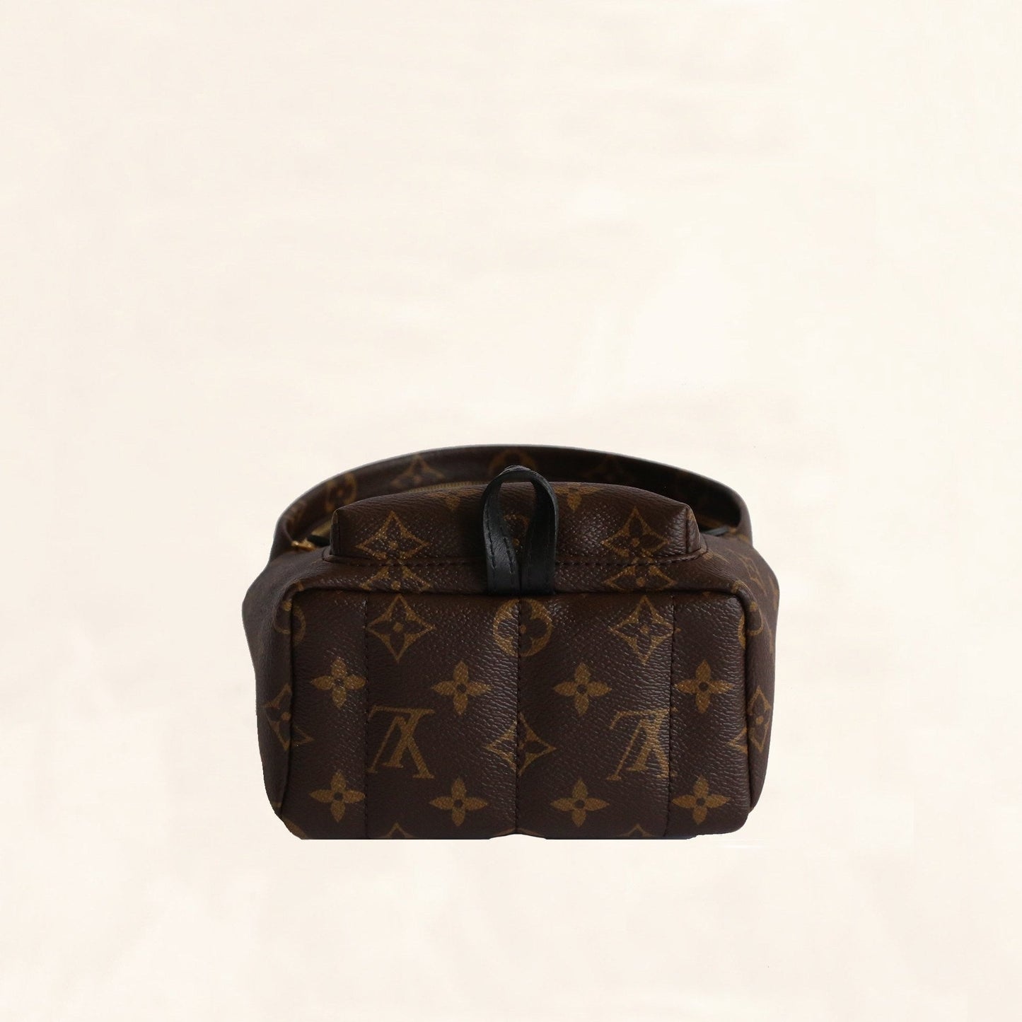 Louis Vuitton Palm Springs Backpack Mini M41562