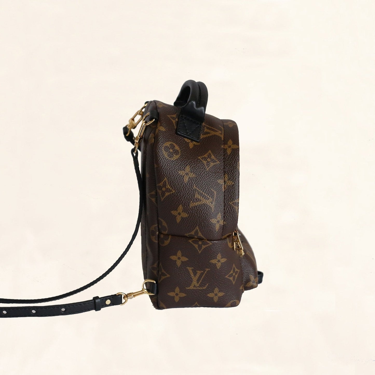 Louis Vuitton Palm Springs Backpack Mini M41562