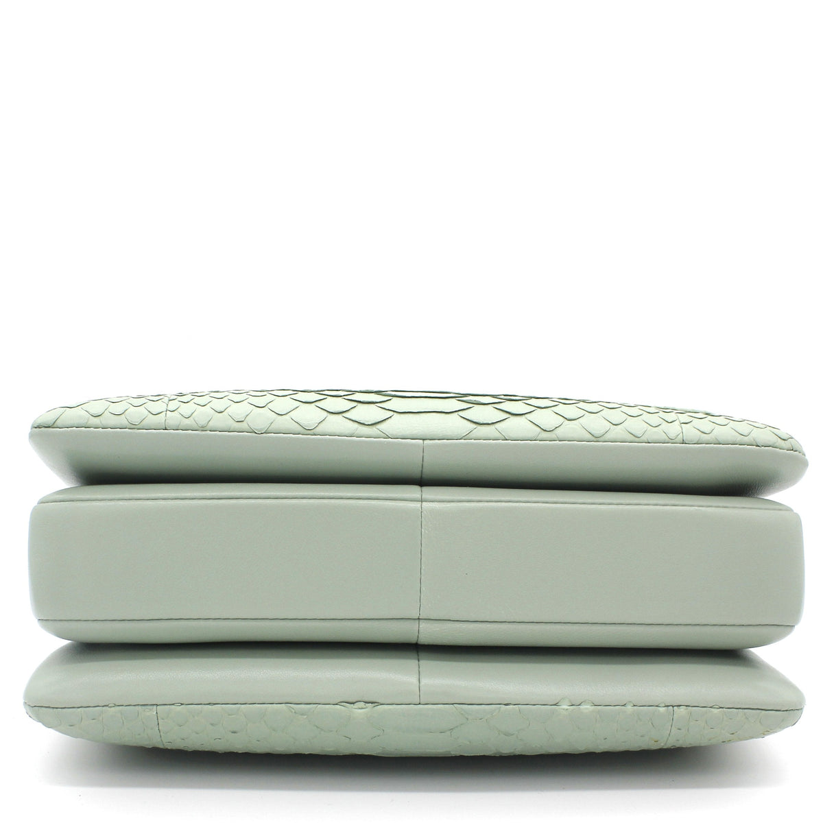 Chanel Snack skin Small Trendy CC Flap Dual Handle Bag Light Green
