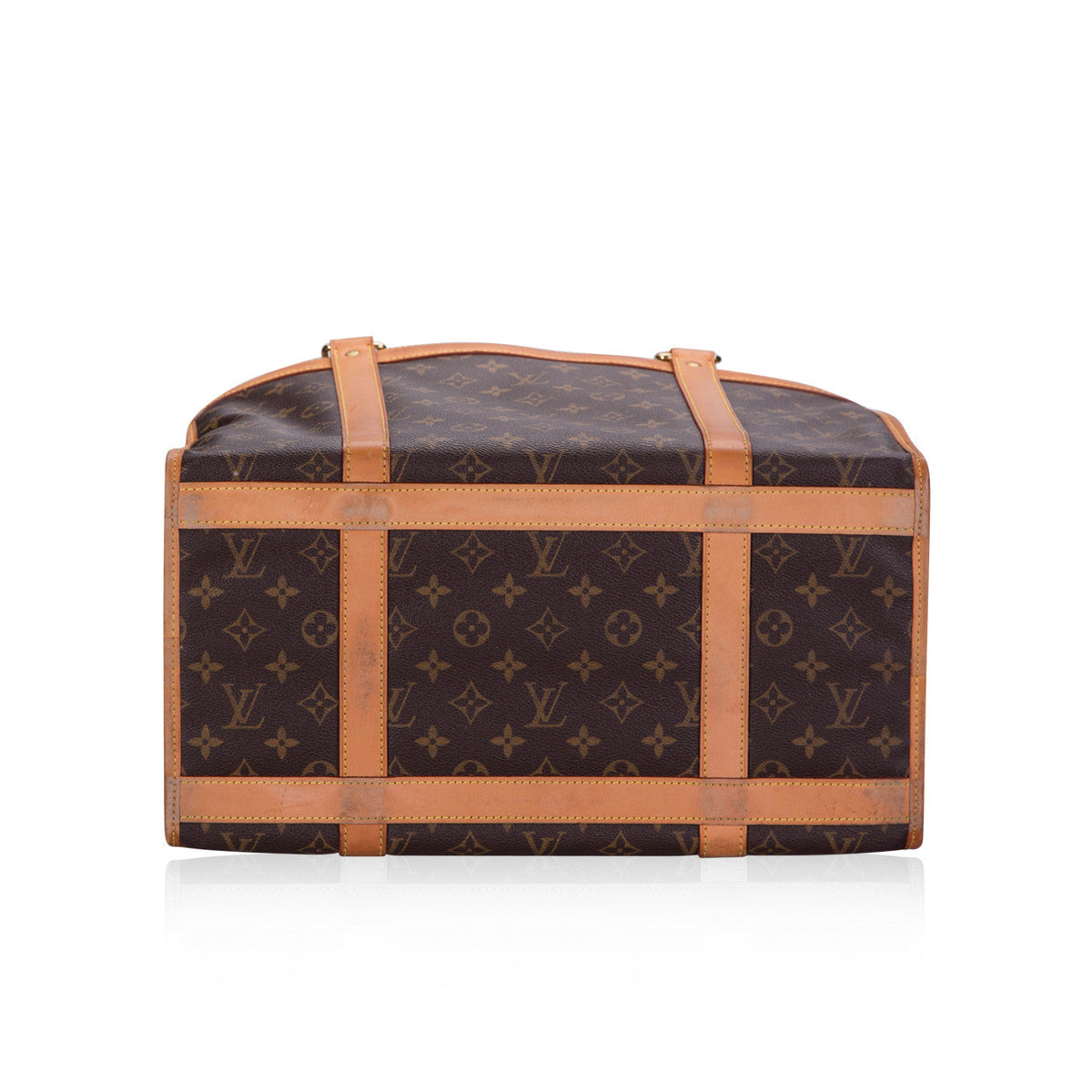 Dog Carrier