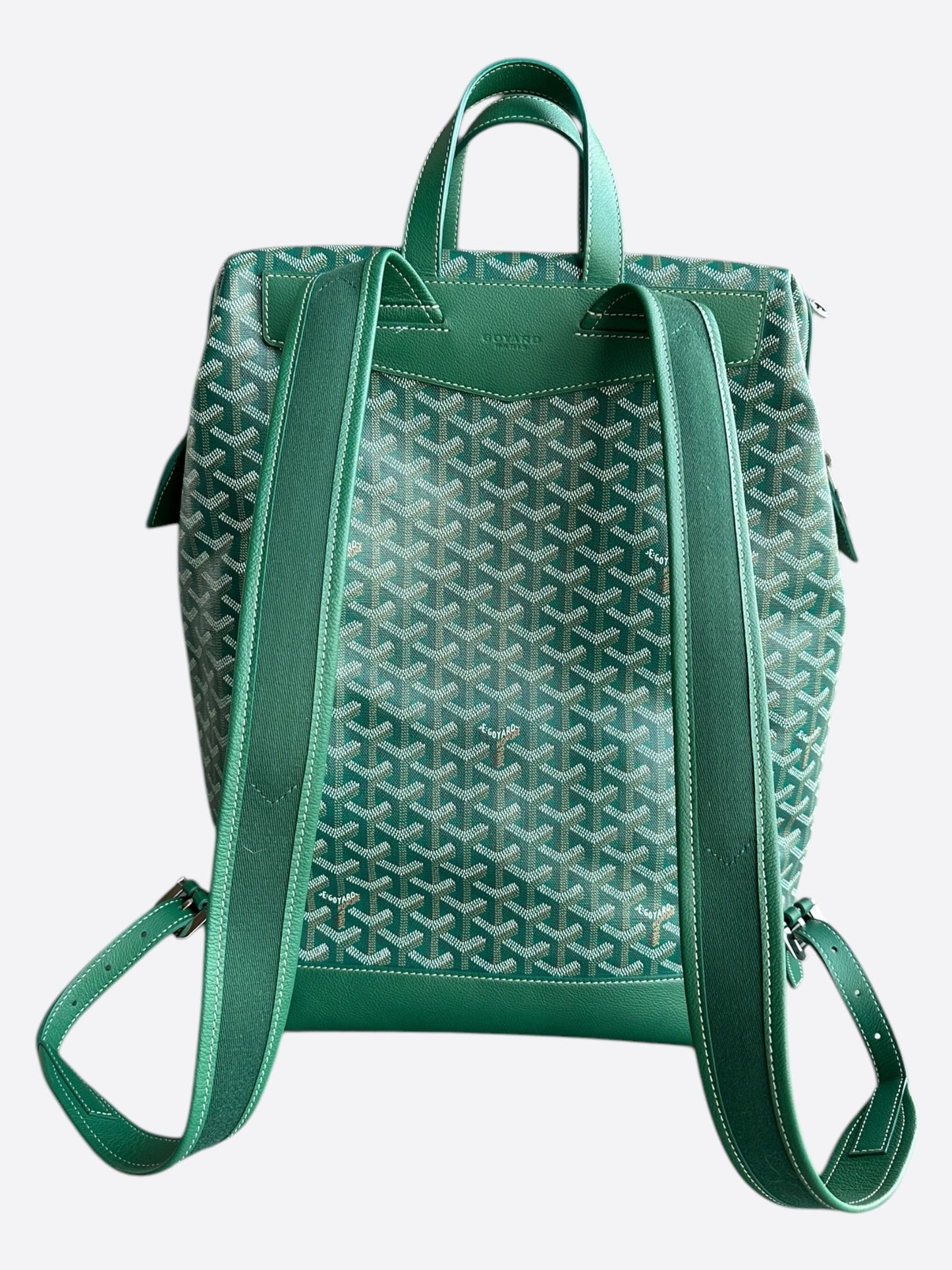 Goyard Green Cisalpin Backpack