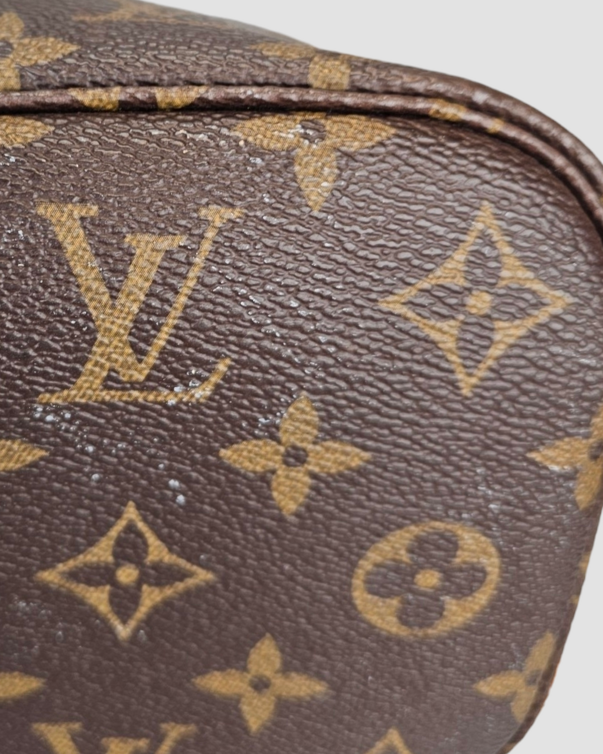Louis Vuitton Neverfull PM