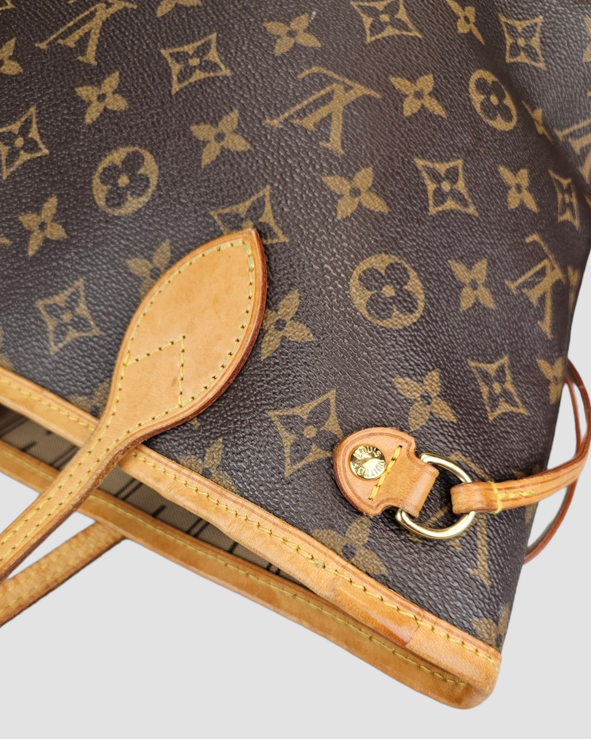 Louis Vuitton Neverfull PM