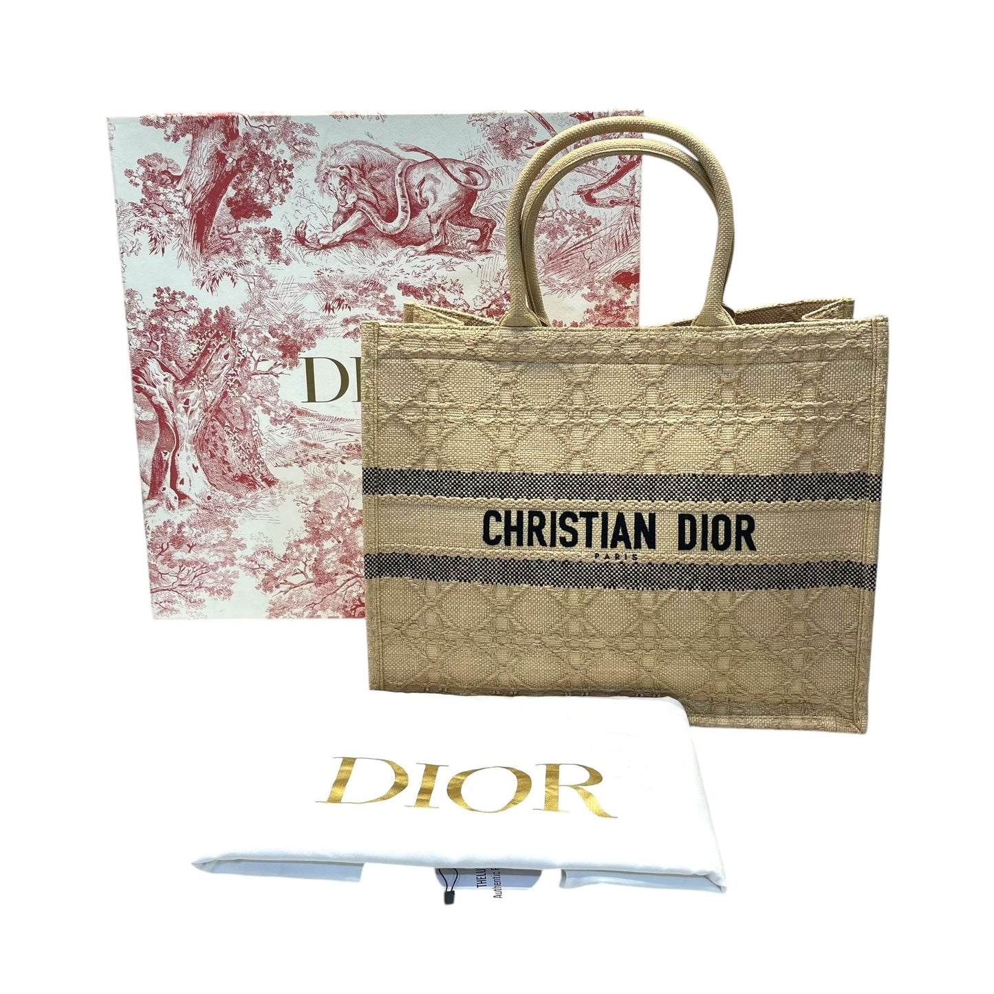 Christian Dior Book Tote