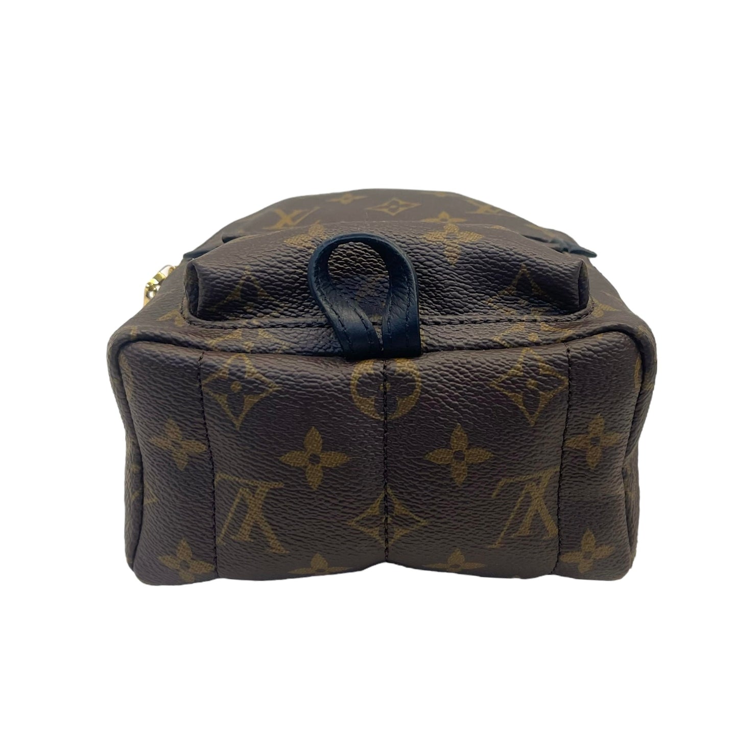 Louis Vuitton Monogram Canvas Mini Palm Springs Backpack