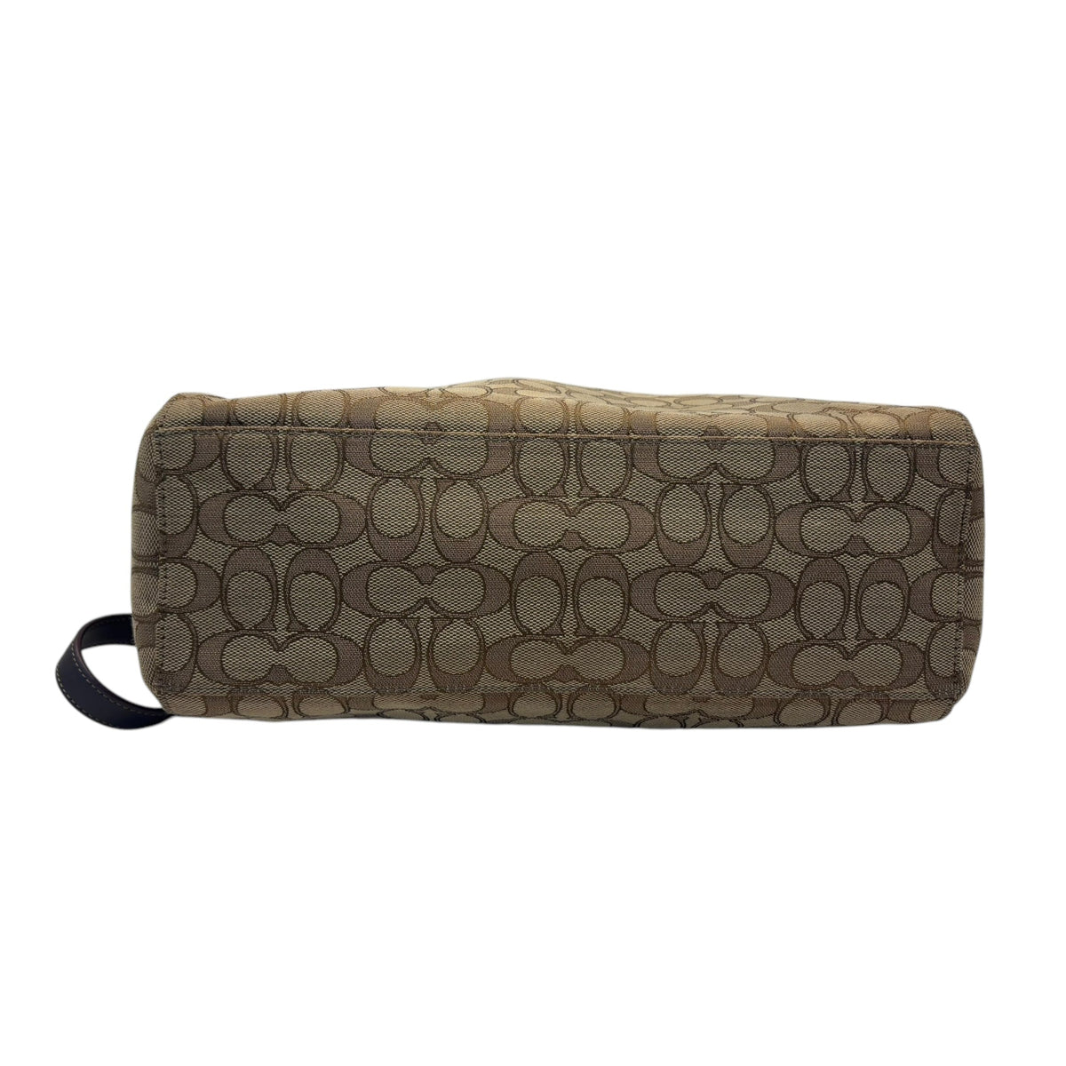 Coach Signature Hobo Bag
