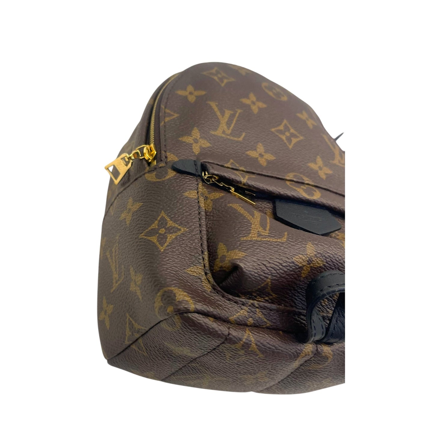 Louis Vuitton Monogram Canvas Mini Palm Springs Backpack