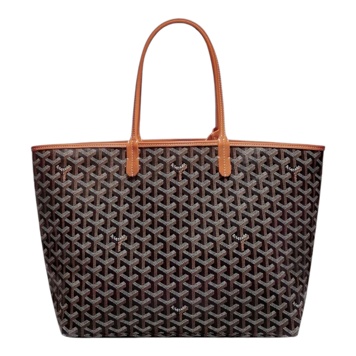 Goyard St Louis PM Black Tan Bag