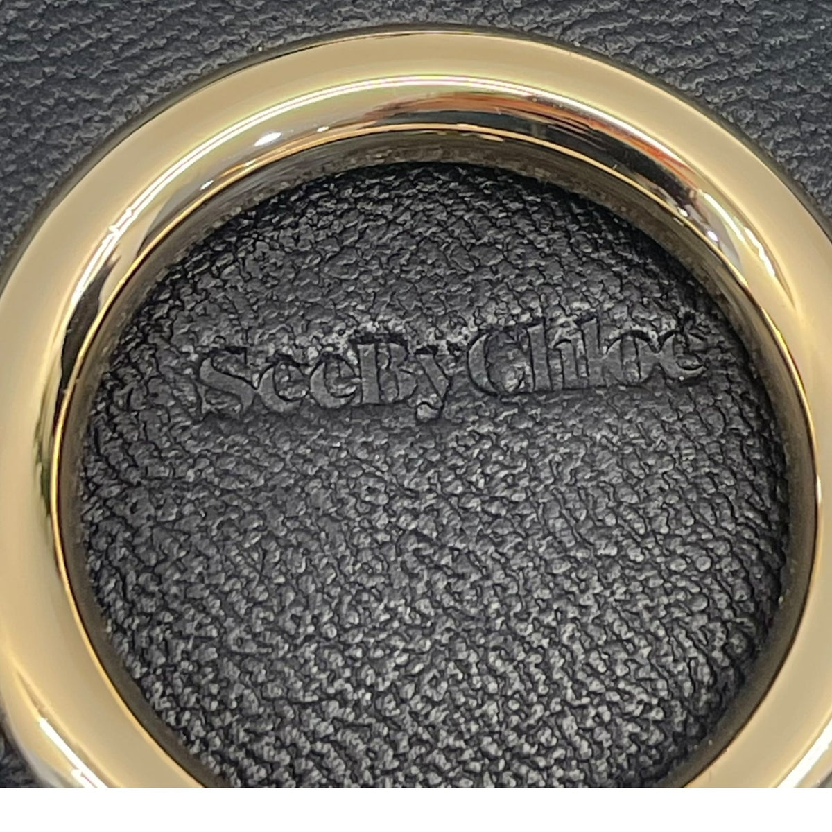 SeeBy Chloé Mara Micro Leather Bag