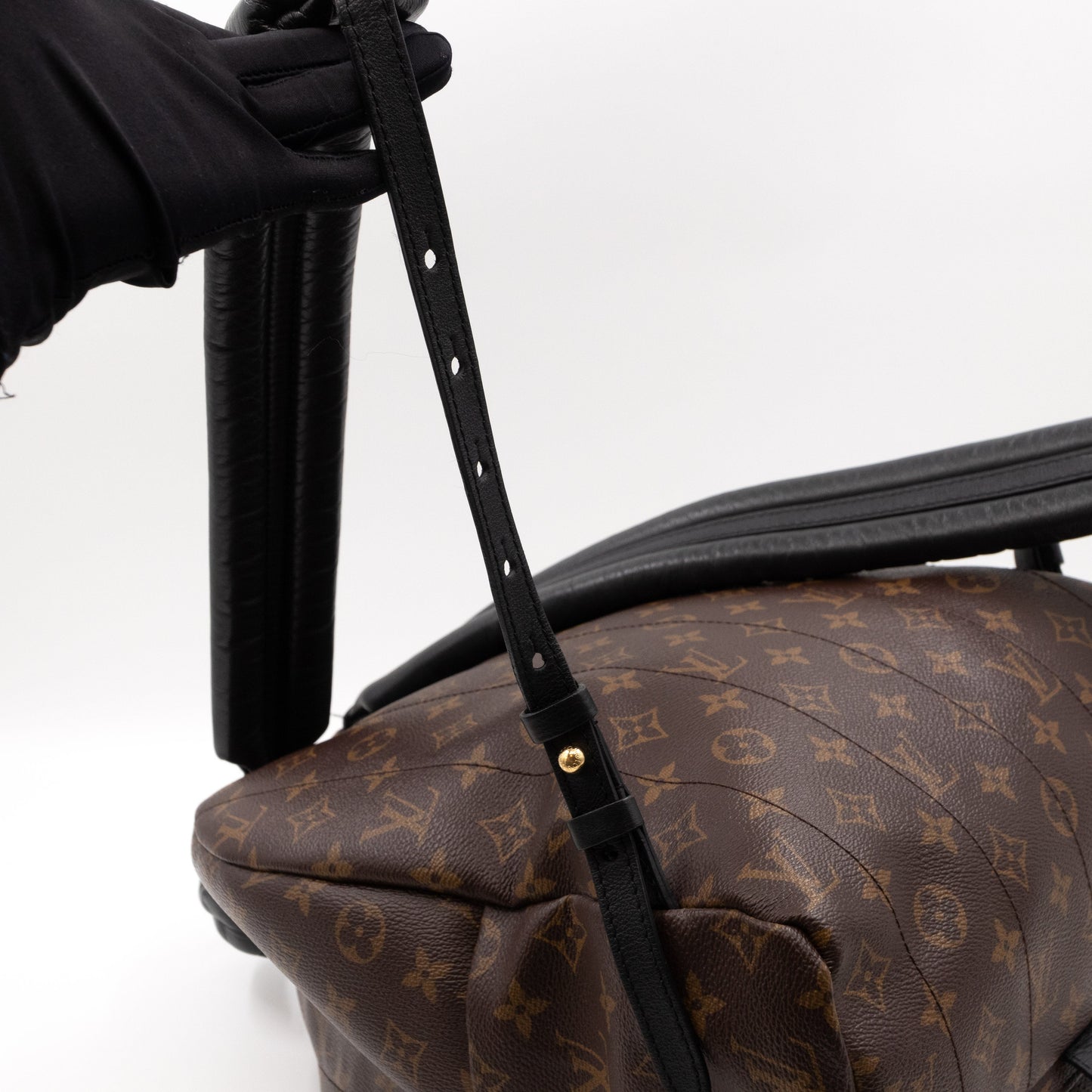 Palm Springs Backpack PM Monogram Macassar