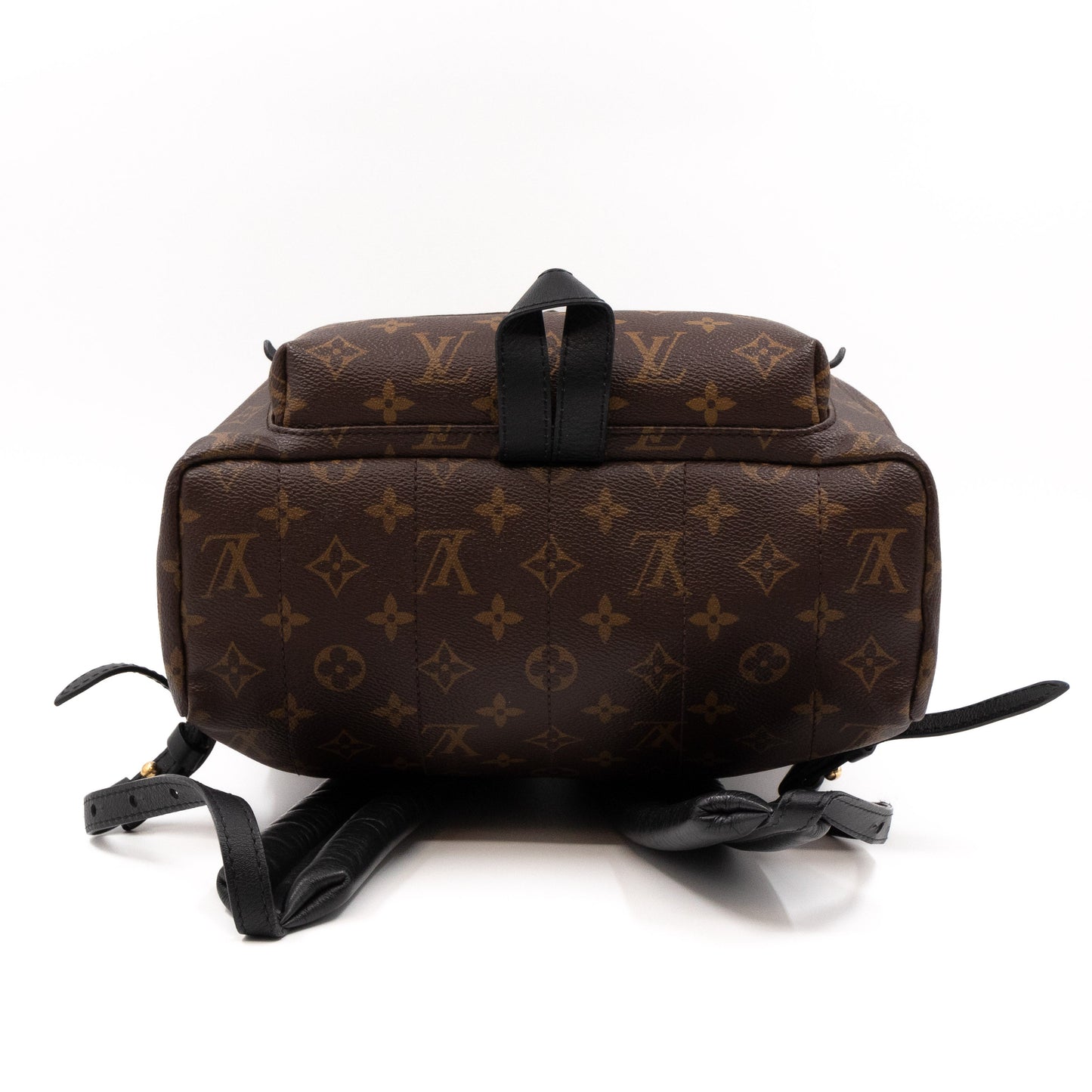 Palm Springs Backpack PM Monogram Macassar