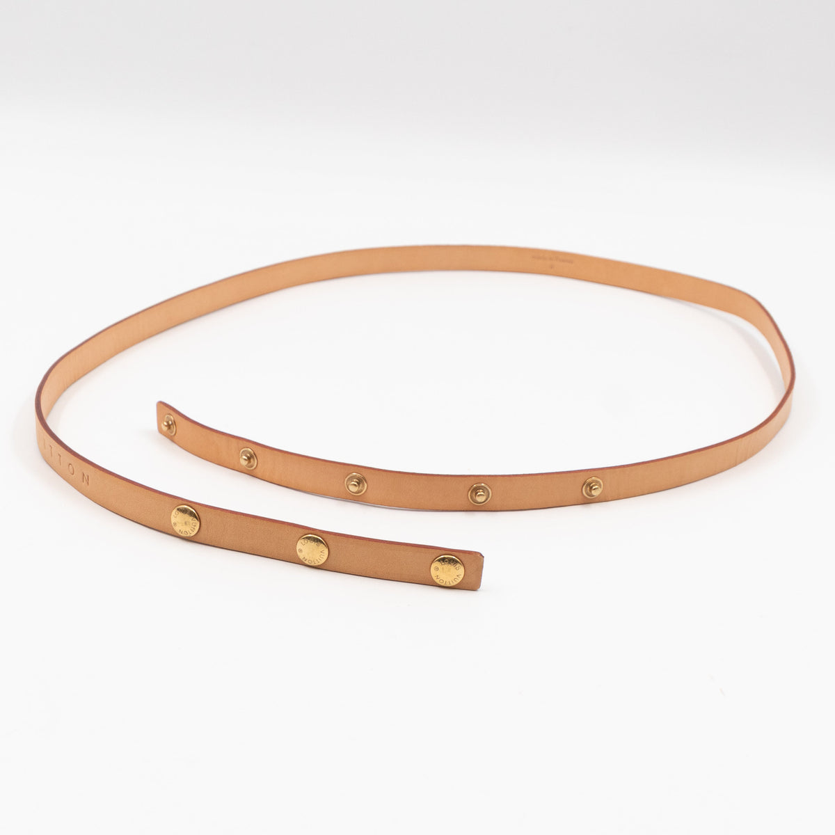 Florentine Belt Bag Monogram
