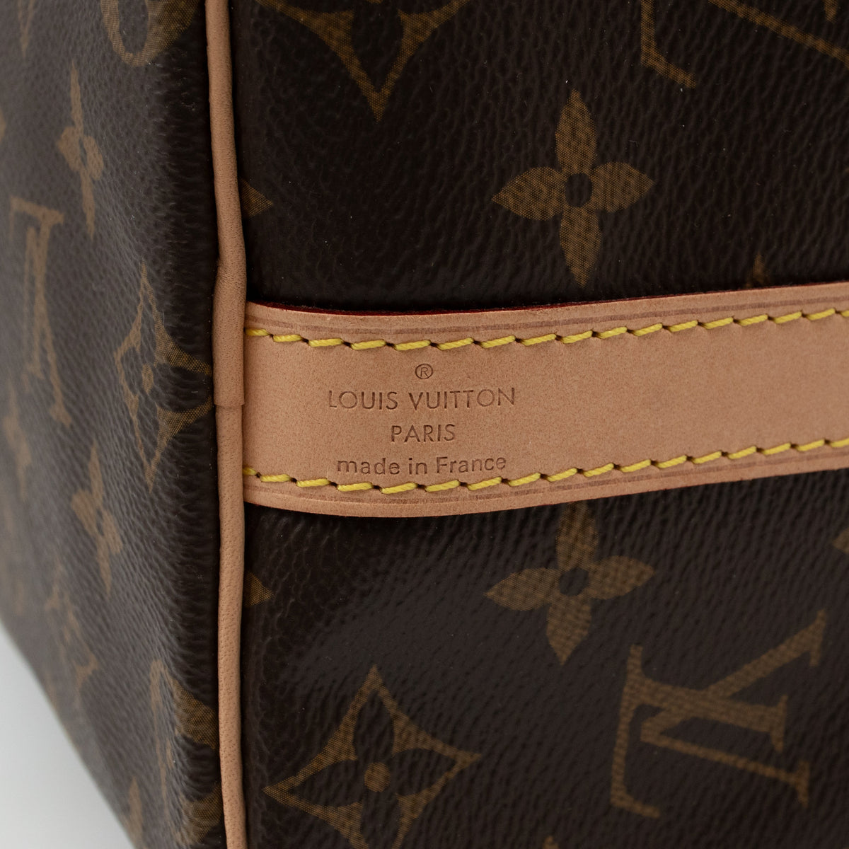 Speedy 25 Bandouliere Monogram