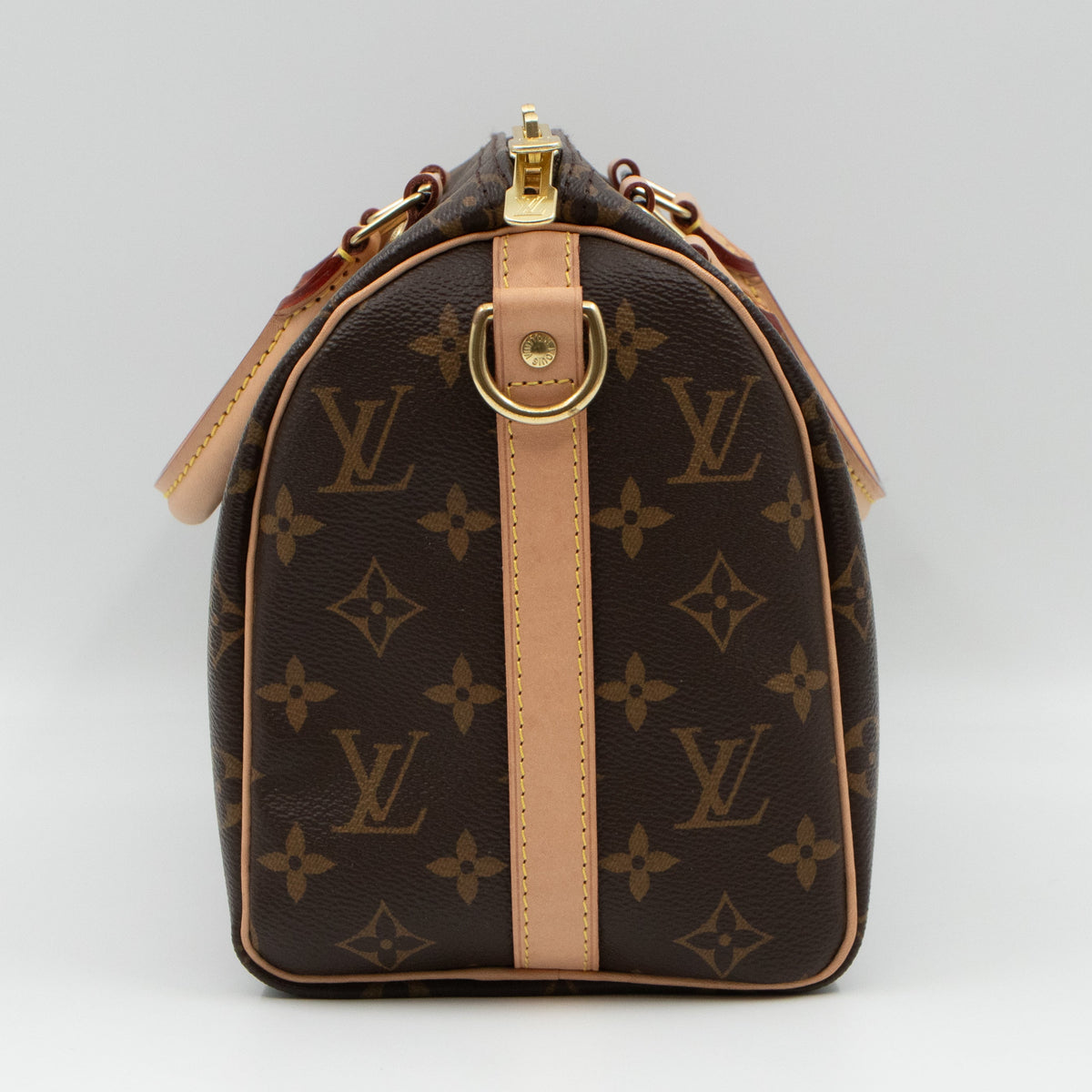 Speedy 25 Bandouliere Monogram