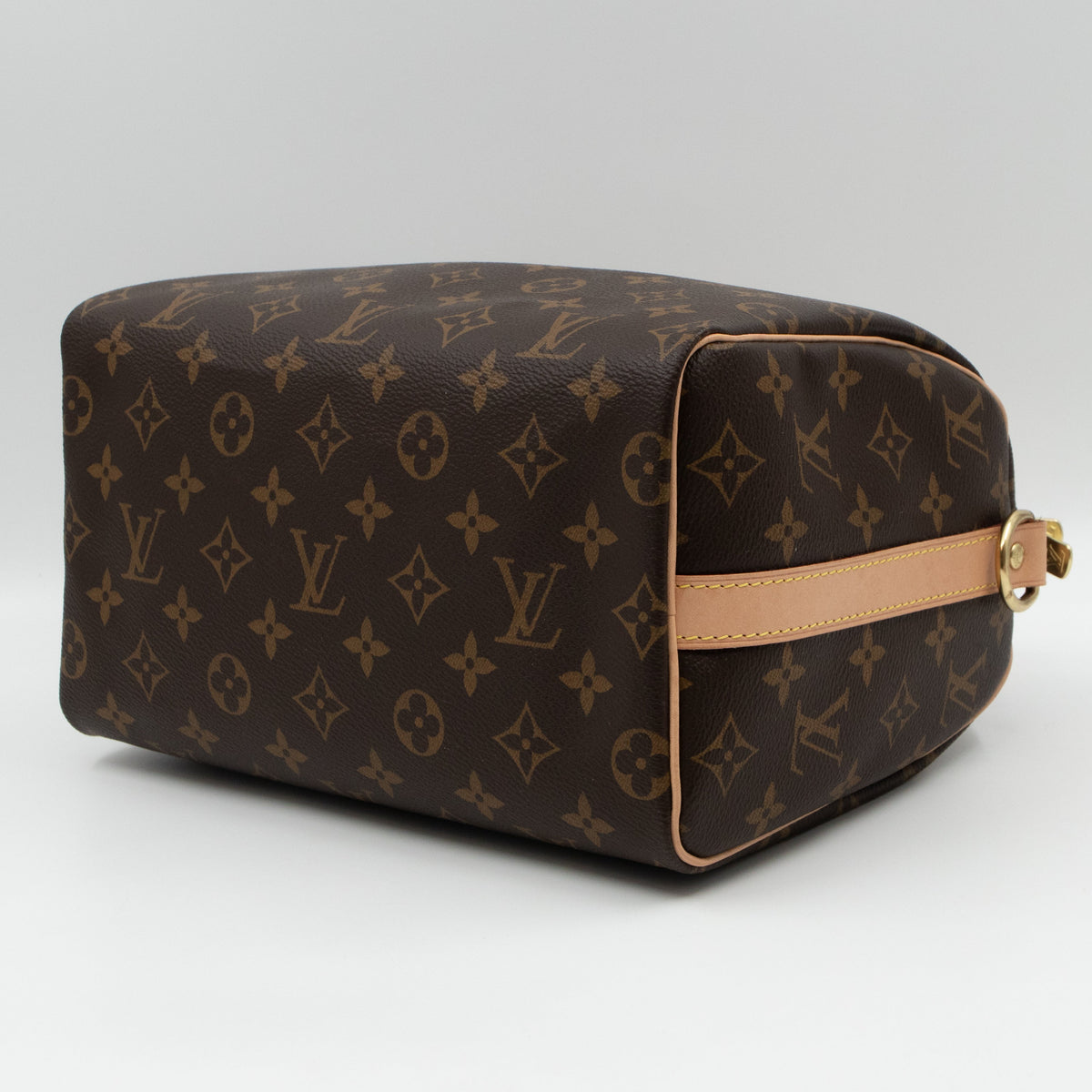 Speedy 25 Bandouliere Monogram