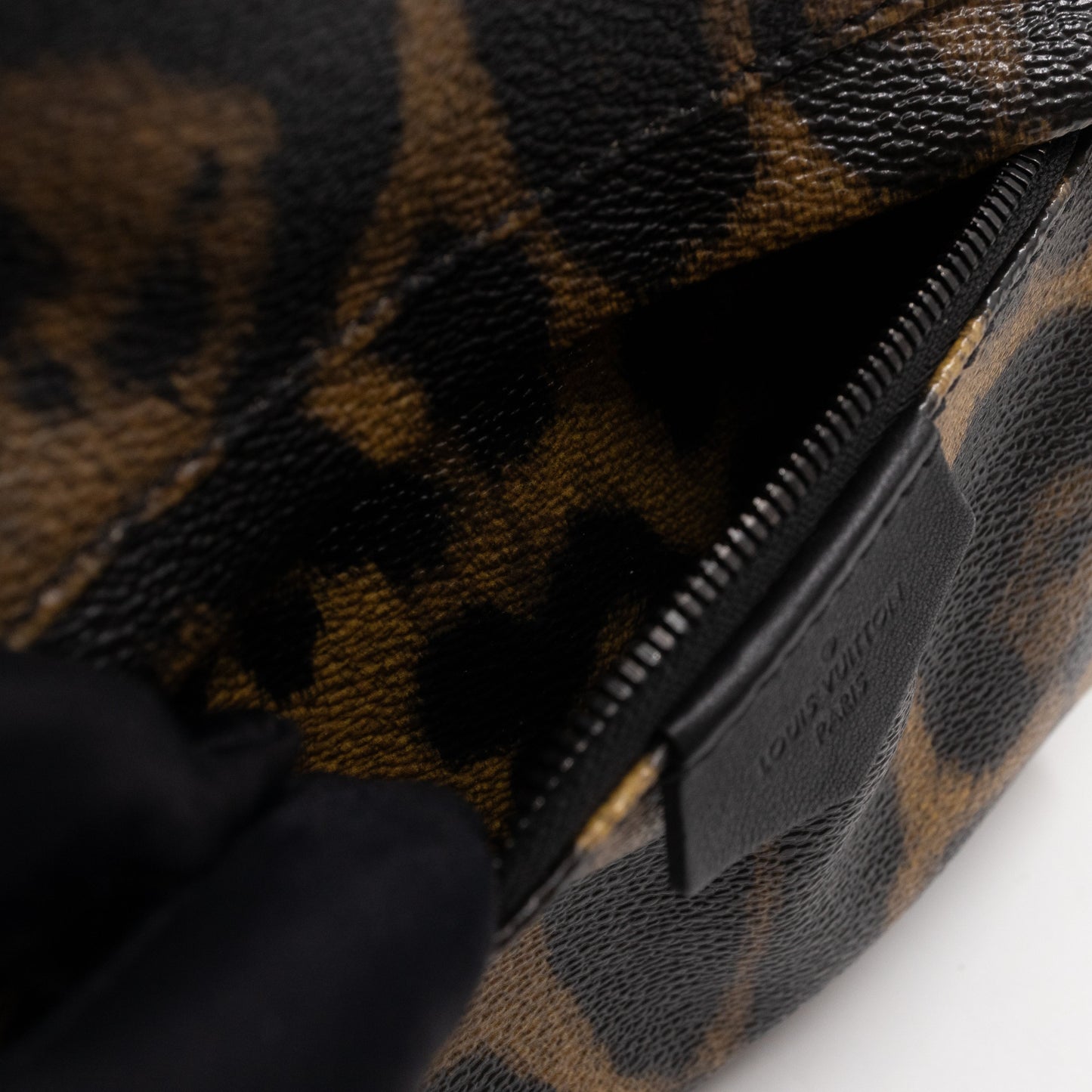 Palm Springs Backpack PM Wild Animal Print