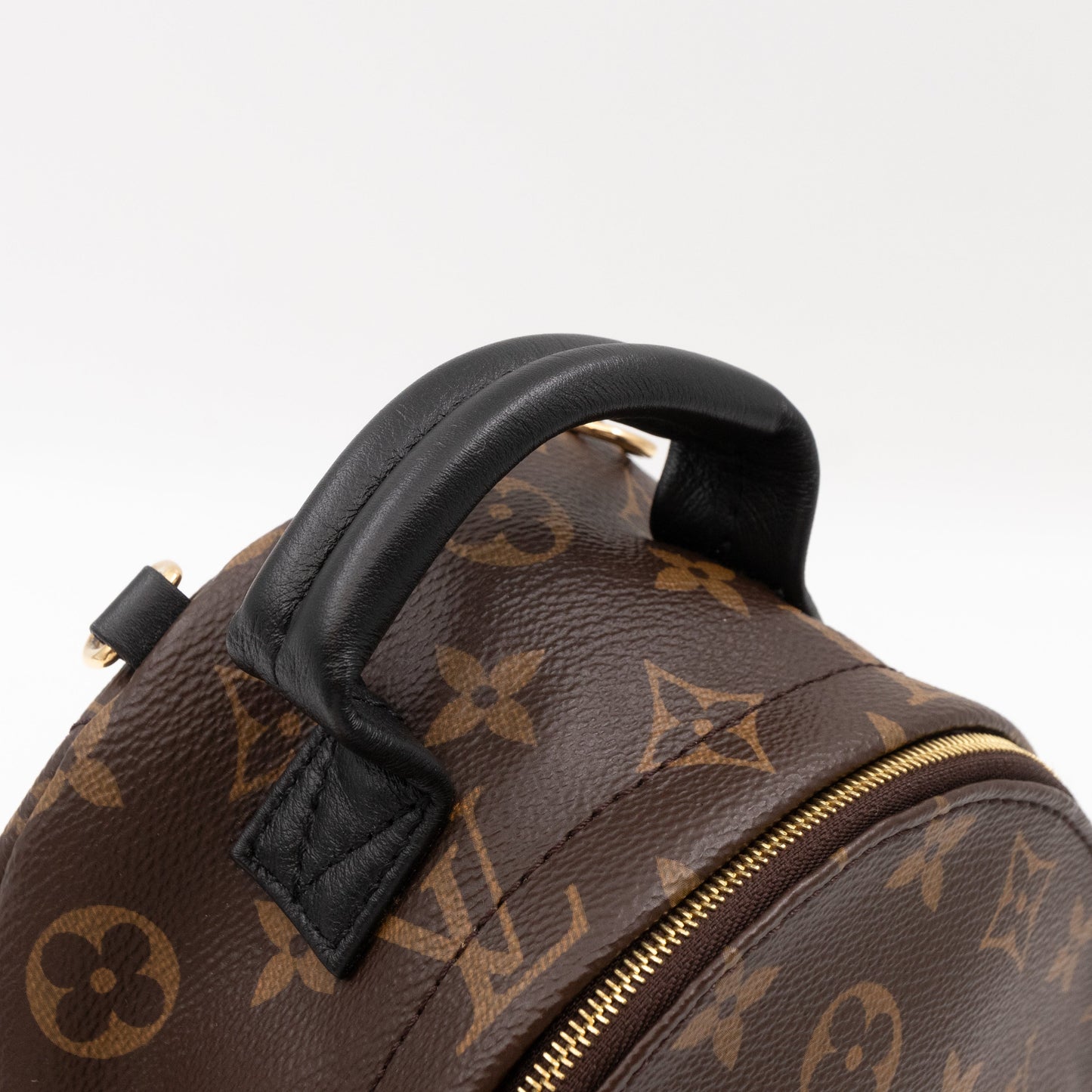 Palm Springs Backpack Mini Monogram Macassar