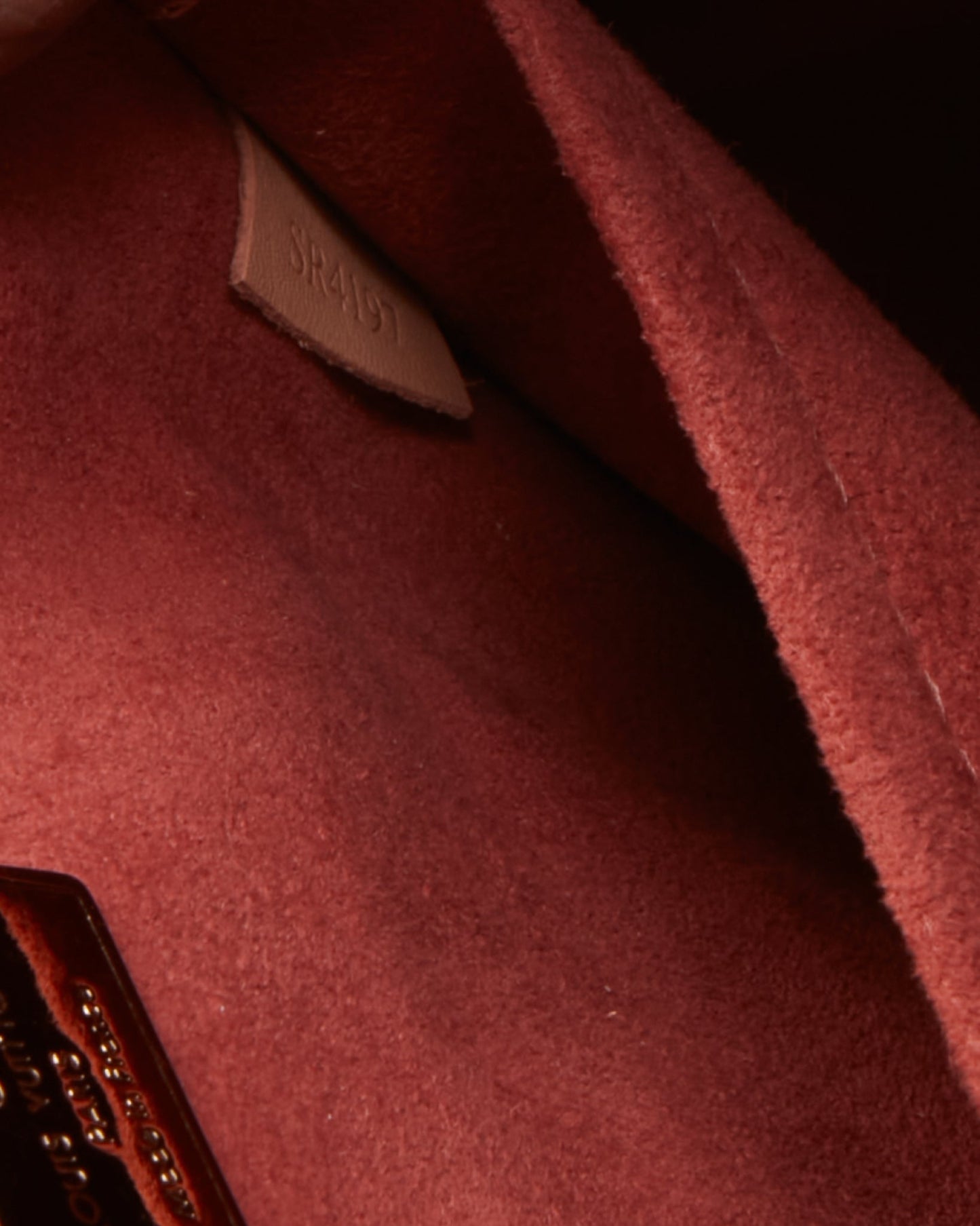 Louis Vuitton Rosewood Vernis Hot Springs Backpack
