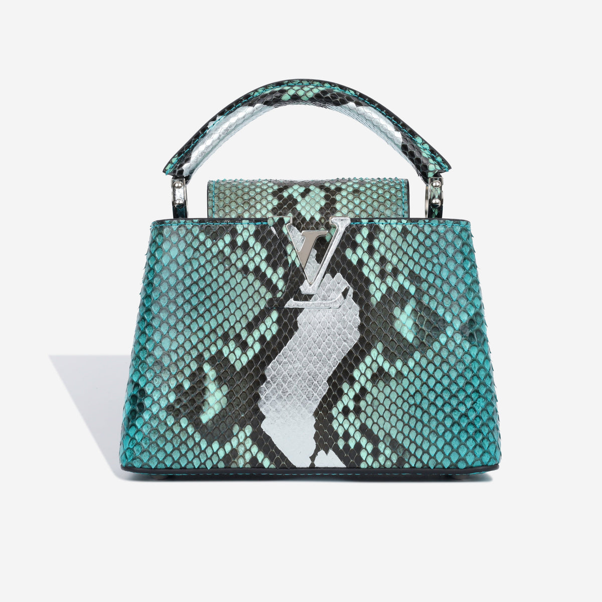 Capucines BB - Blue Python