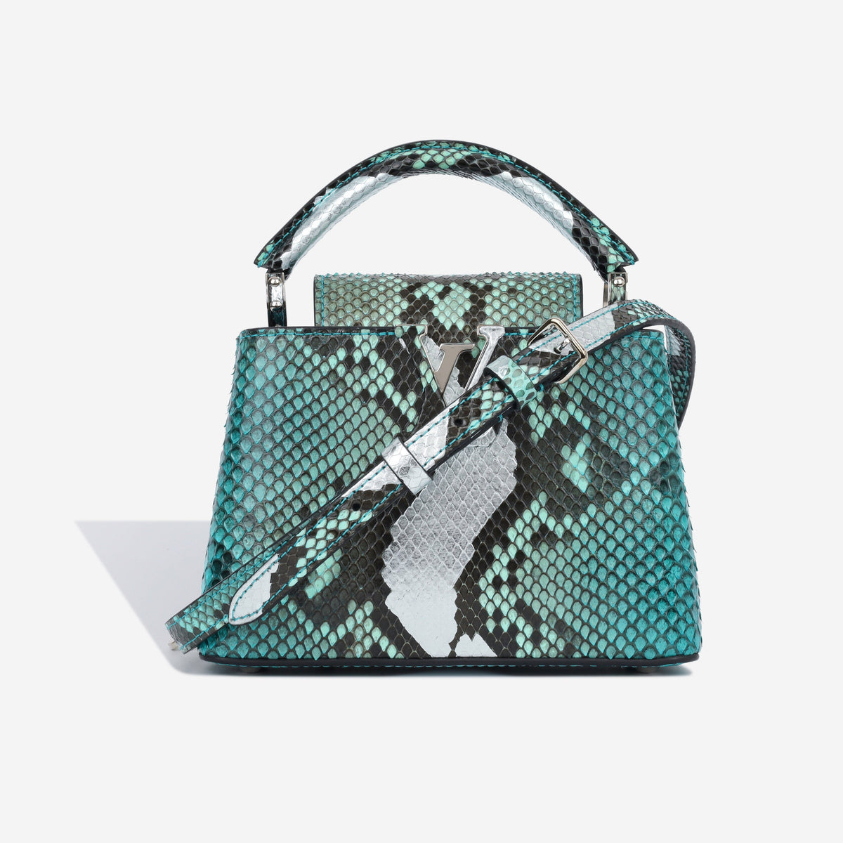 Capucines BB - Blue Python