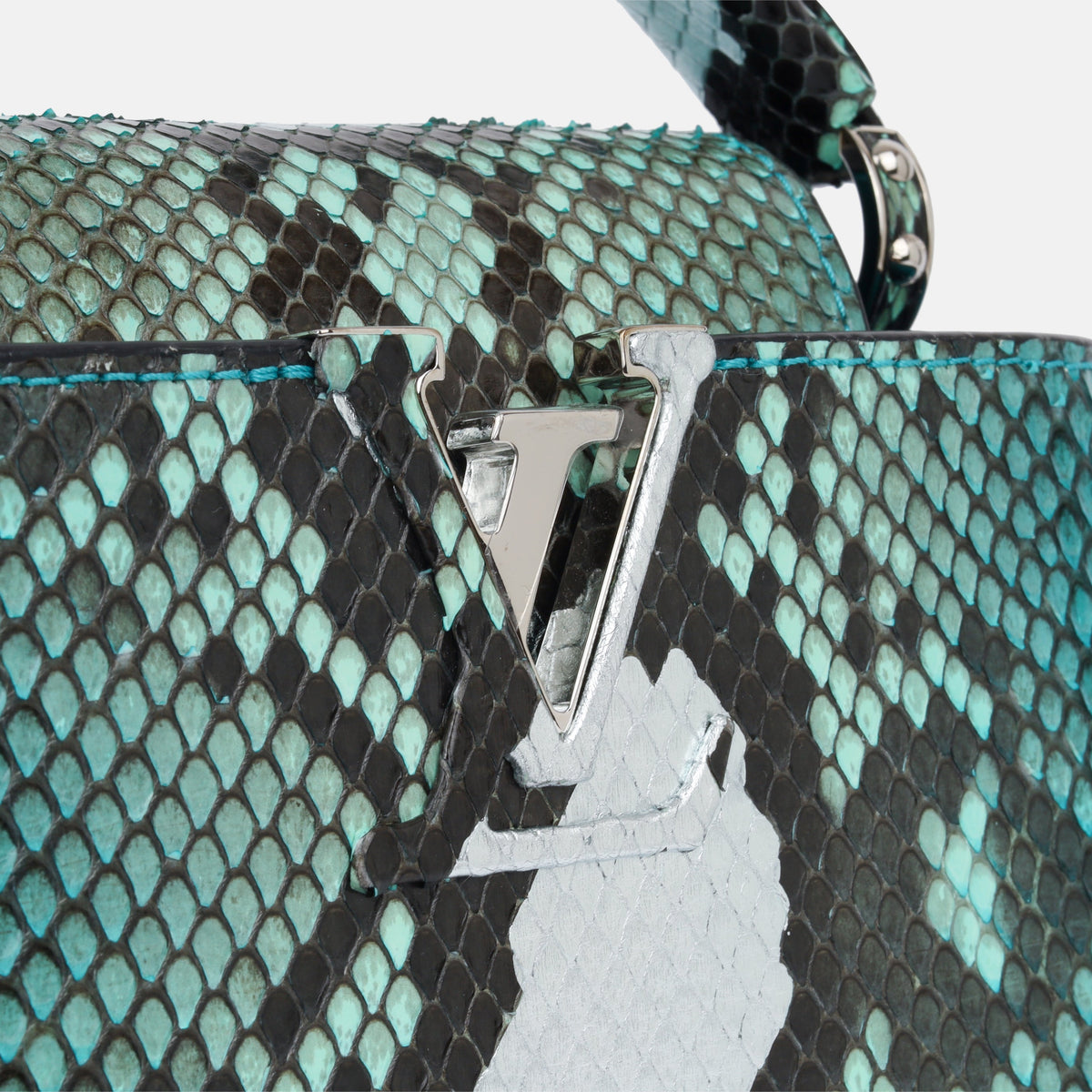 Capucines BB - Blue Python