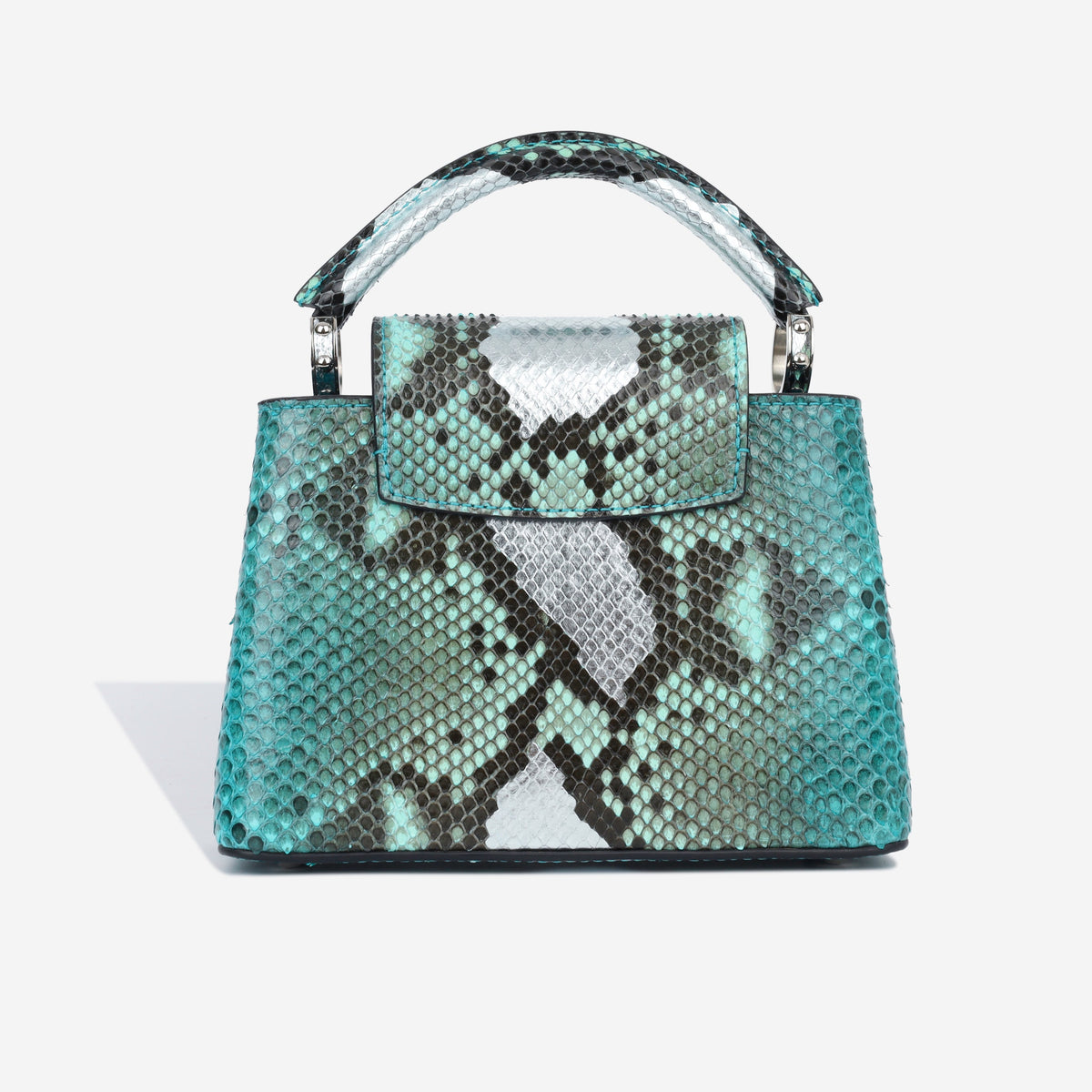 Capucines BB - Blue Python