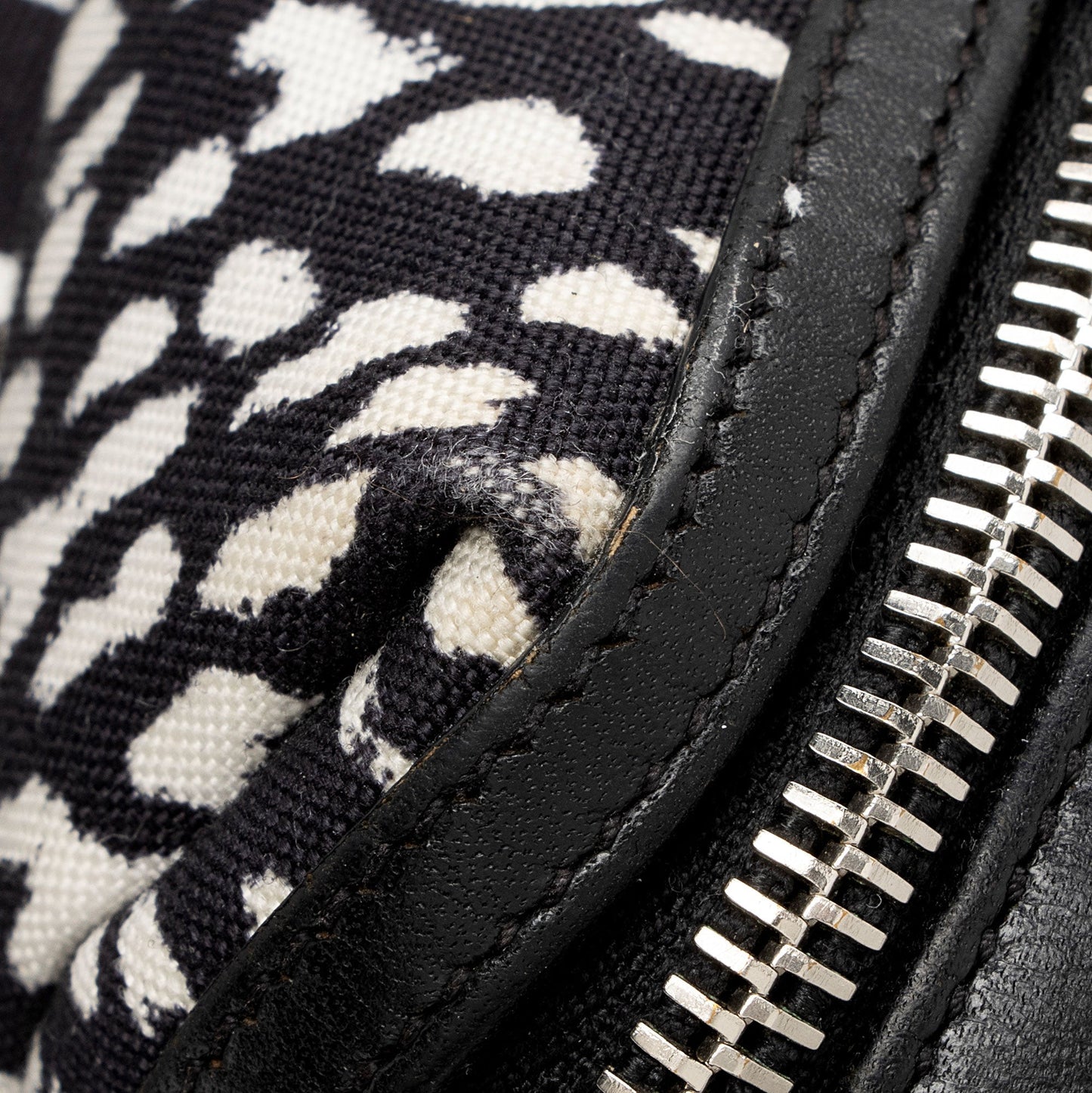 Saint Laurent Leopard Print Canvas City Backpack lc0KDV