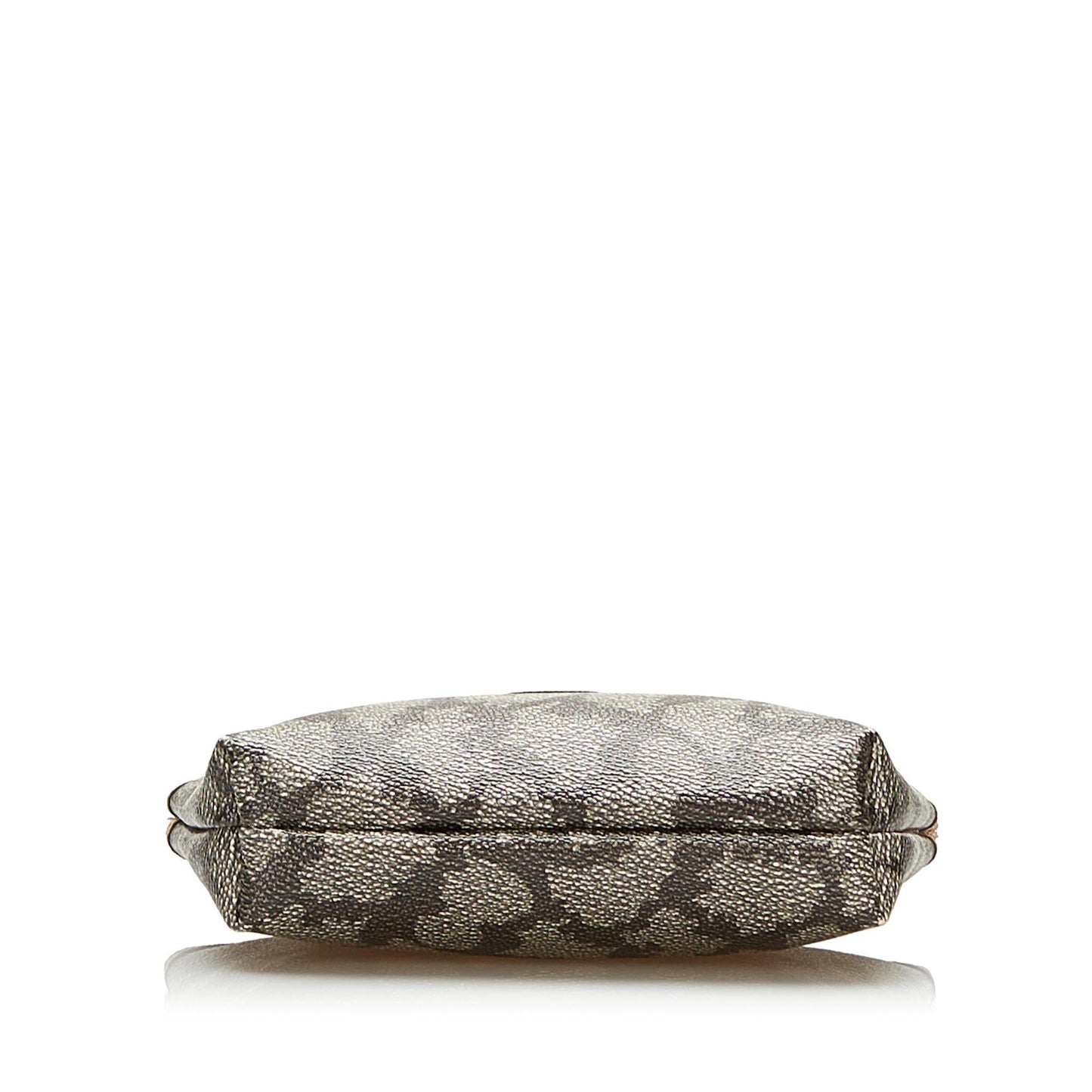 Saint Laurent Printed Pouch (SHG-35857